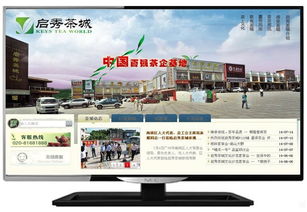 松江企业数字化转型 一站式网站建设、维护与托管解决方案