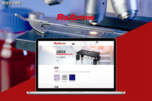 如何选择本地网站建设公司并管理网站建设与维护